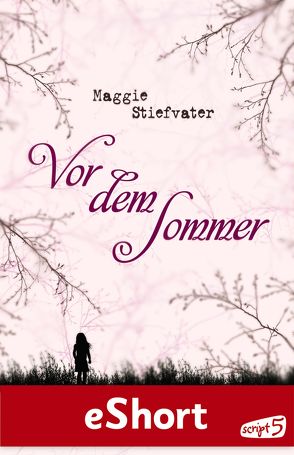 Vor dem Sommer von Stiefvater,  Maggie