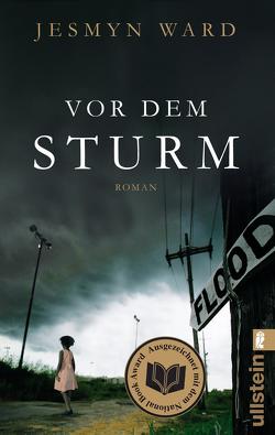 Vor dem Sturm von Becker,  Ulrike, Ward,  Jesmyn