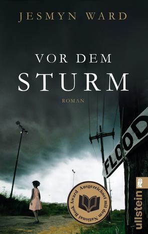 Vor dem Sturm von Becker,  Ulrike, Ward,  Jesmyn