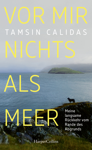 Vor mir nichts als Meer – Meine langsame Rückkehr vom Rande des Abgrunds von Calidas,  Tamsin, Falk,  Dietlind