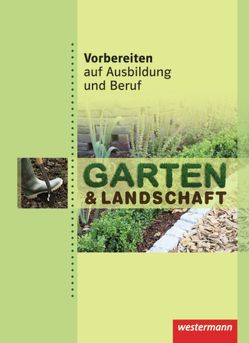 Vorbereiten auf Ausbildung und Beruf von Basqué,  Dorothea, Petersen,  Sabine, Wiesmann,  Anne