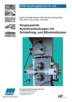 Vorgespannte Hybridverbindungen mit Schließring- und Blindnietbolzen von Dörre,  Maik, Ebert,  Andreas, Füssel,  Uwe, Glienke,  Ralf, Kalich,  Jan, Wanner,  Martin-Christoph