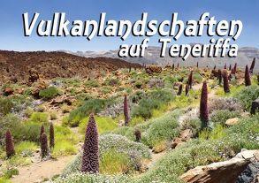 Vulkanlandschaften auf Teneriffa (Tischaufsteller DIN A5 quer) von Reiter,  Monika