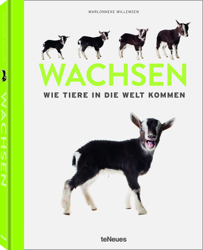 Wachsen von Willemsen,  Marlonneke