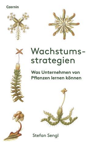 Wachstumsstrategien von Sengl,  Stefan