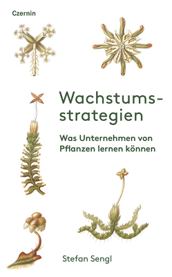 Wachstumsstrategien von Sengl,  Stefan