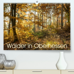 Wälder in Oberhessen (Premium, hochwertiger DIN A2 Wandkalender 2021, Kunstdruck in Hochglanz) von Balzer,  Karl-Günter