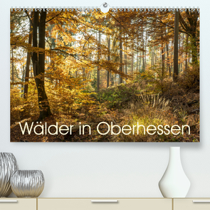 Wälder in Oberhessen (Premium, hochwertiger DIN A2 Wandkalender 2020, Kunstdruck in Hochglanz) von Balzer,  Karl-Günter