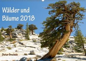 Wälder und Bäume 2018 (Wandkalender 2018 DIN A2 quer) von Brecheis,  Dieter