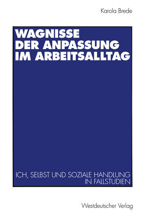 Wagnisse der Anpassung im Arbeitsalltag von Brede,  Karola