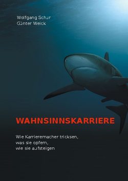 Wahnsinnskarriere von Schur,  Wolfgang, Weick,  Günter