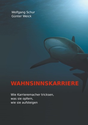 Wahnsinnskarriere von Schur,  Wolfgang, Weick,  Günter