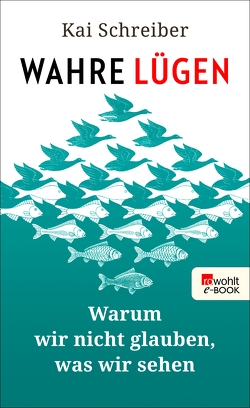 Wahre Lügen von Schreiber,  Kai