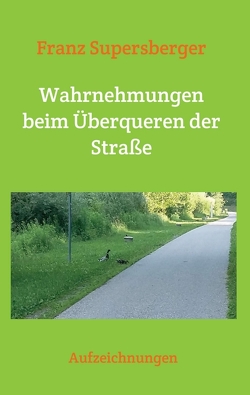 Wahrnehmungen beim Überqueren der Straße von Supersberger,  Franz