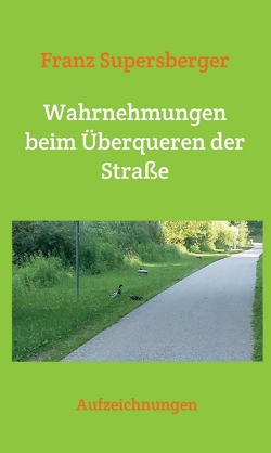 Wahrnehmungen beim Überqueren der Straße von Supersberger,  Franz