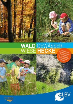 Wald Gewässer Wiese Hecke