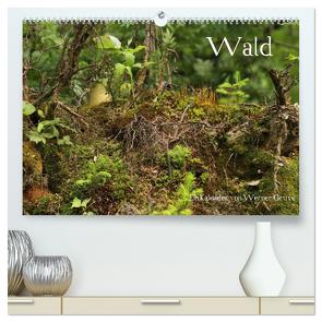 Wald (hochwertiger Premium Wandkalender 2024 DIN A2 quer), Kunstdruck in Hochglanz von Gruse,  Werner