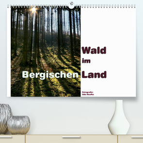 Wald im Bergischen Land 2023 (Premium, hochwertiger DIN A2 Wandkalender 2023, Kunstdruck in Hochglanz) von Haafke,  Udo