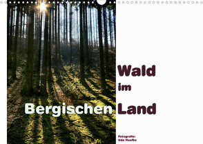 Wald im Bergischen Land 2023 (Wandkalender 2023 DIN A3 quer) von Haafke,  Udo