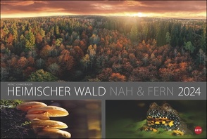 Wald nah und fern Edition Kalender 2024 von Heinz Schmidbauer