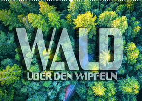 Wald – über den Wipfeln (Wandkalender 2023 DIN A2 quer) von Bleicher,  Renate