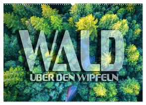Wald – über den Wipfeln (Wandkalender 2024 DIN A2 quer), CALVENDO Monatskalender von Bleicher,  Renate