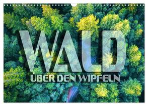 Wald – über den Wipfeln (Wandkalender 2024 DIN A3 quer), CALVENDO Monatskalender von Bleicher,  Renate