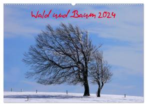 Wald und Baum 2024 (Wandkalender 2024 DIN A2 quer), CALVENDO Monatskalender von Geduldig,  Bildagentur