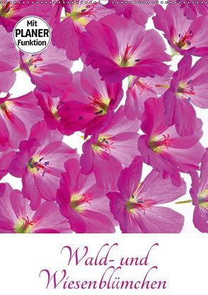 Wald- und Wiesenblümchen (Wandkalender 2018 DIN A2 hoch) von Eppele,  Klaus