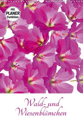 Wald- und Wiesenblümchen (Wandkalender 2018 DIN A3 hoch) von Eppele,  Klaus