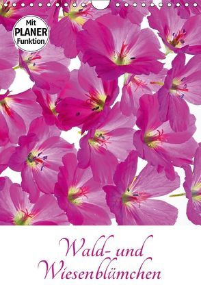 Wald- und Wiesenblümchen (Wandkalender 2018 DIN A4 hoch) von Eppele,  Klaus