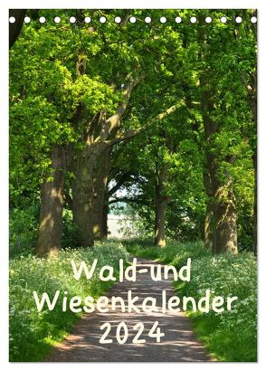 Wald- und Wiesenkalender 2024 Planer (Tischkalender 2024 DIN A5 hoch), CALVENDO Monatskalender von Drews,  Marianne