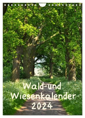 Wald- und Wiesenkalender 2024 Planer (Wandkalender 2024 DIN A4 hoch), CALVENDO Monatskalender von Drews,  Marianne