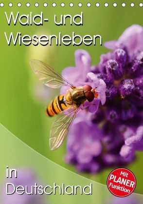 Wald- und Wiesenleben in Deutschland (Tischkalender 2019 DIN A5 hoch) von Mosert,  Stefan