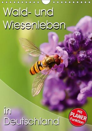 Wald- und Wiesenleben in Deutschland (Wandkalender 2018 DIN A4 hoch) von Mosert,  Stefan