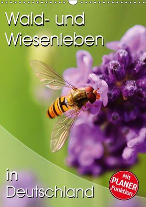 Wald- und Wiesenleben in Deutschland (Wandkalender 2019 DIN A3 hoch) von Mosert,  Stefan