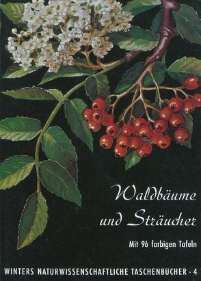 Waldbäume, Sträucher und Zwergholzgewächse von Fickler,  H H, Haller,  K E, Hartmann,  F K