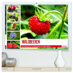 Waldbeeren. Aromatische Leckereien aus der Natur (hochwertiger Premium Wandkalender 2024 DIN A2 quer), Kunstdruck in Hochglanz von Hurley,  Rose