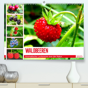 Waldbeeren. Aromatische Leckereien aus der Natur (Premium, hochwertiger DIN A2 Wandkalender 2023, Kunstdruck in Hochglanz) von Hurley,  Rose