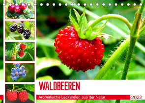 Waldbeeren. Aromatische Leckereien aus der Natur (Tischkalender 2022 DIN A5 quer) von Hurley,  Rose