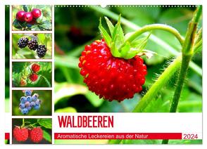 Waldbeeren. Aromatische Leckereien aus der Natur (Wandkalender 2024 DIN A2 quer), CALVENDO Monatskalender von Hurley,  Rose