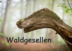 Waldgesellen – entdecke die Vielfalt (Tischkalender 2023 DIN A5 quer) von Losekann,  Holger