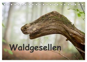 Waldgesellen – entdecke die Vielfalt (Tischkalender 2024 DIN A5 quer), CALVENDO Monatskalender von Losekann,  Holger