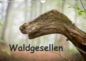 Waldgesellen – entdecke die Vielfalt (Wandkalender 2022 DIN A4 quer) von Losekann,  Holger