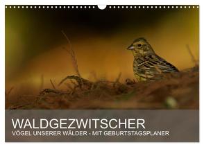 Waldgezwitscher – Vögel unserer Wälder (Wandkalender 2024 DIN A3 quer), CALVENDO Monatskalender von Krebs,  Alexander