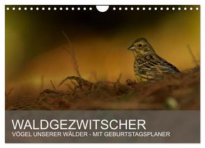 Waldgezwitscher – Vögel unserer Wälder (Wandkalender 2024 DIN A4 quer), CALVENDO Monatskalender von Krebs,  Alexander