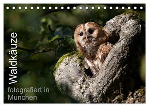 Waldkäuze, fotografiert in München (Tischkalender 2024 DIN A5 quer), CALVENDO Monatskalender von Buchmann,  www.klaus-buchmann.de,  Klaus