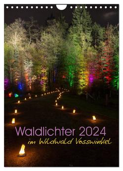 Waldlichter im Wildwald Vosswinkel 2024 (Wandkalender 2024 DIN A4 hoch), CALVENDO Monatskalender von Lieder,  Britta