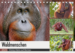 Waldmenschen – Orang Utans auf Borneo (Tischkalender 2023 DIN A5 quer) von Herzog,  Michael