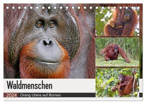 Waldmenschen – Orang Utans auf Borneo (Tischkalender 2024 DIN A5 quer), CALVENDO Monatskalender von Herzog,  Michael